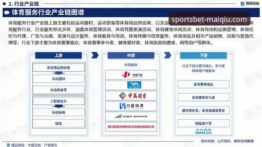 揭秘买球平台官方网站：体育数据服务背后的行业趋势与布局逻辑